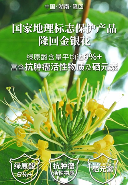 微信图片_2025-08-16_134455_853.jpg