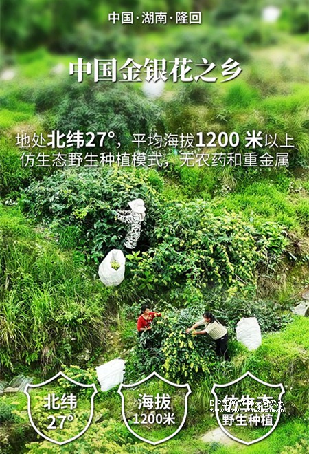 微信图片_2025-08-16_134502_972.jpg
