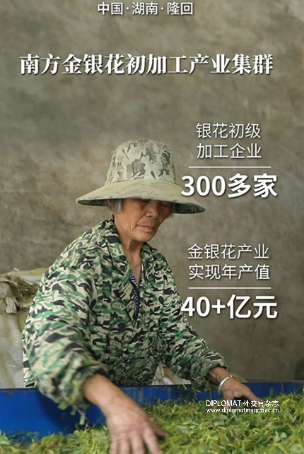 微信图片_2025-08-16_134518_244.jpg