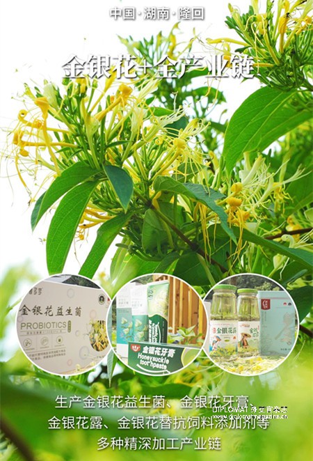 微信图片_2025-08-16_134527_828.jpg