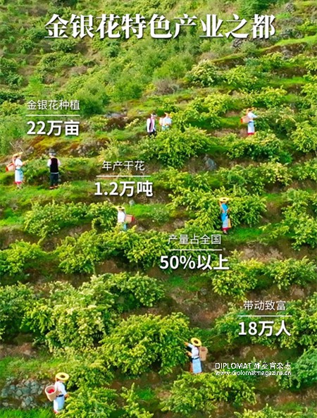 微信图片_2025-08-16_134507_788.jpg