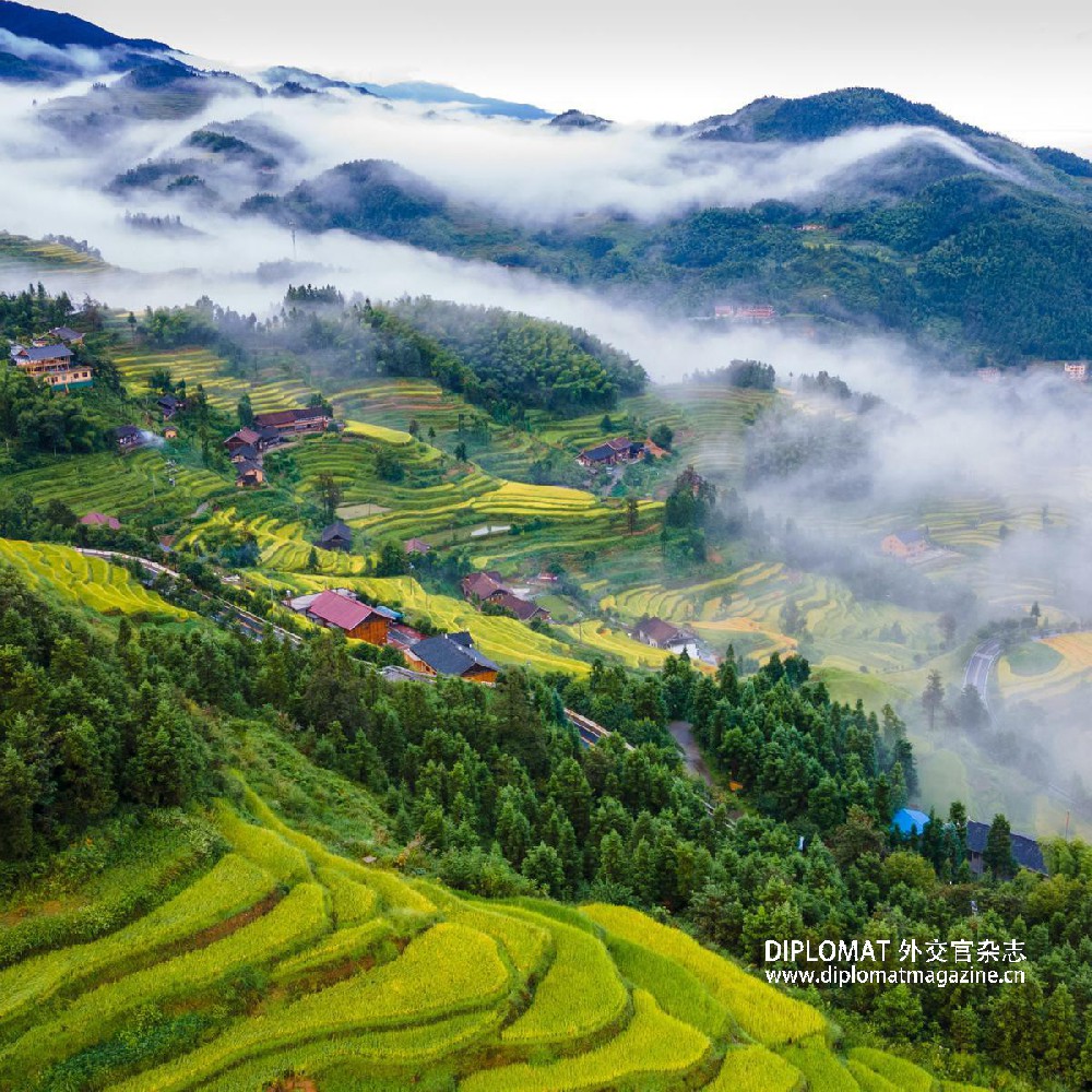 Terrace preservation urged at farming conference in Hunan