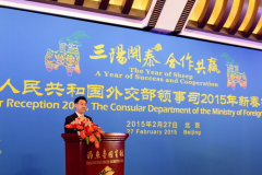 外交部领事司举行2015年驻华使馆领事官员新春招待会